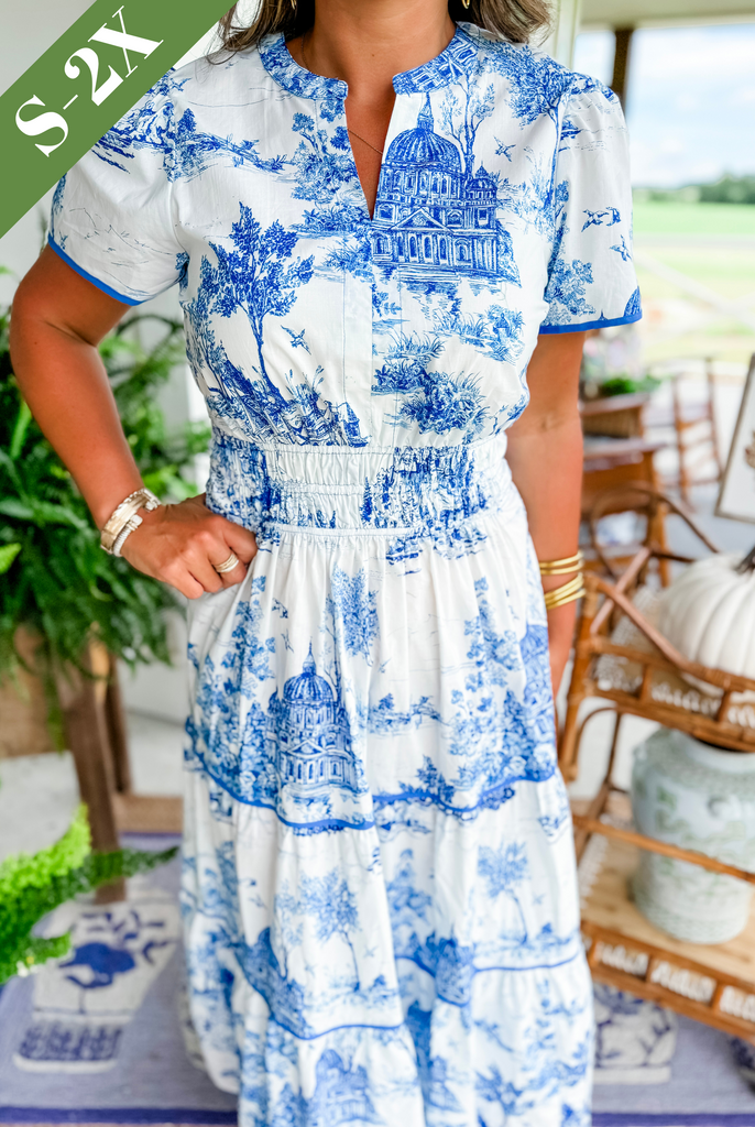 MAISY | CLASSIC TOILE MAXI DRESS